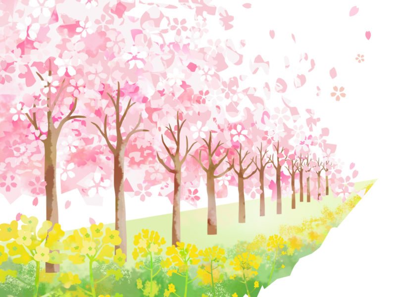 桜が長く咲くために